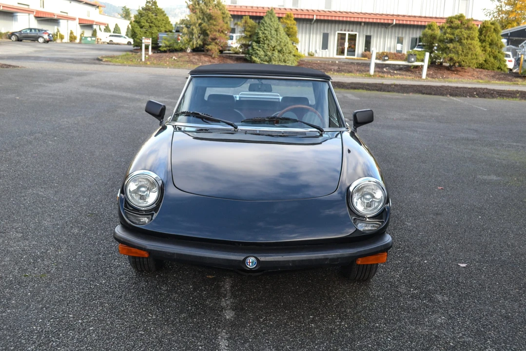 1978 Alfa Romeo Series 2 - Image 7 of 31