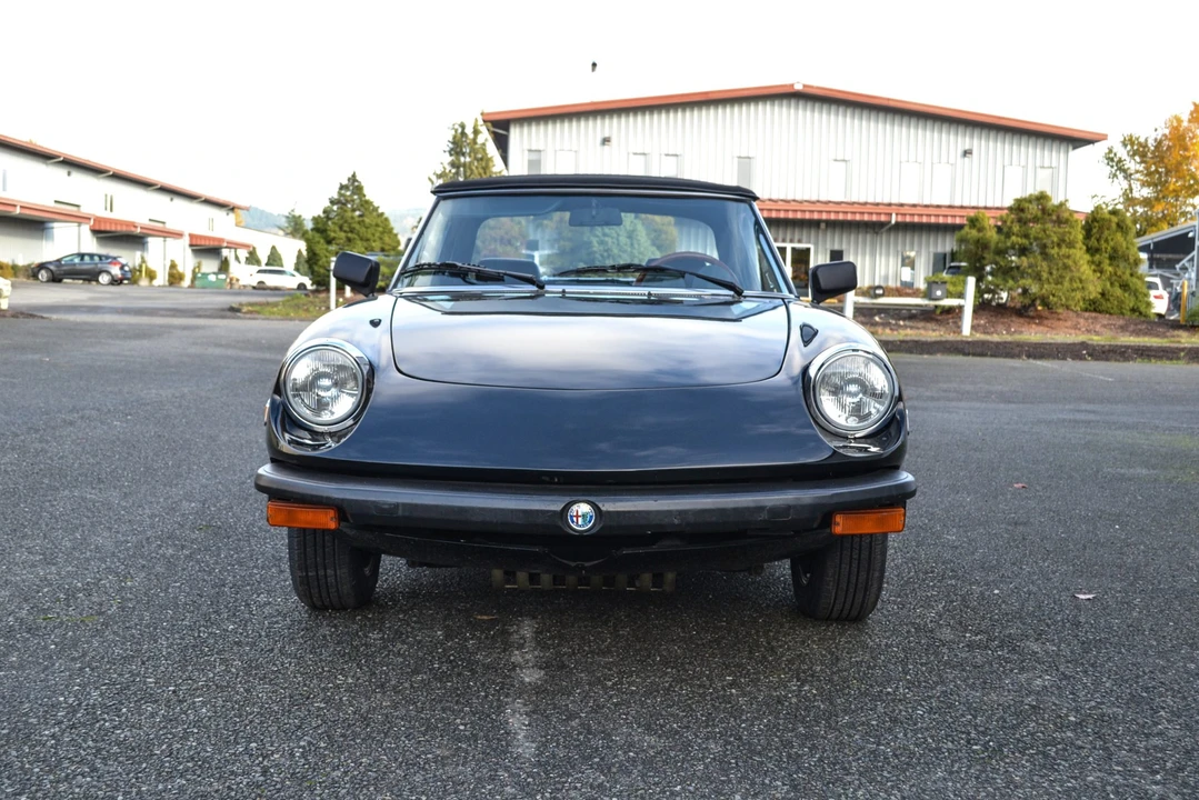 1978 Alfa Romeo Series 2 - Image 8 of 31