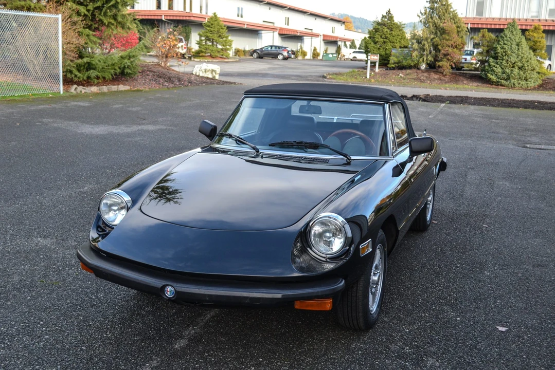 1978 Alfa Romeo Series 2 - Image 9 of 31