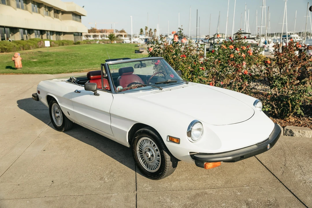 1978 Alfa Romeo Series 2 - Image 13 of 31