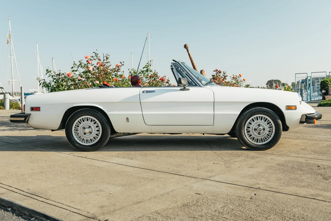 1978 Alfa Romeo Series 2 - Image 11 of 31