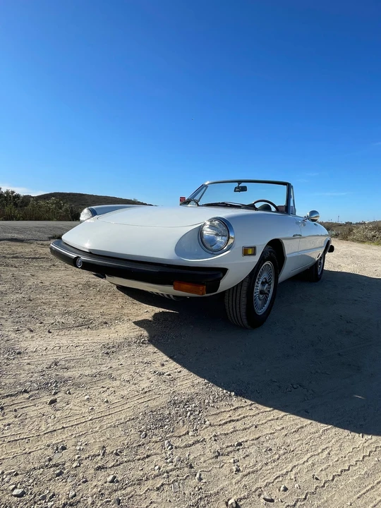 1978 Alfa Romeo Series 2 - Image 6 of 31