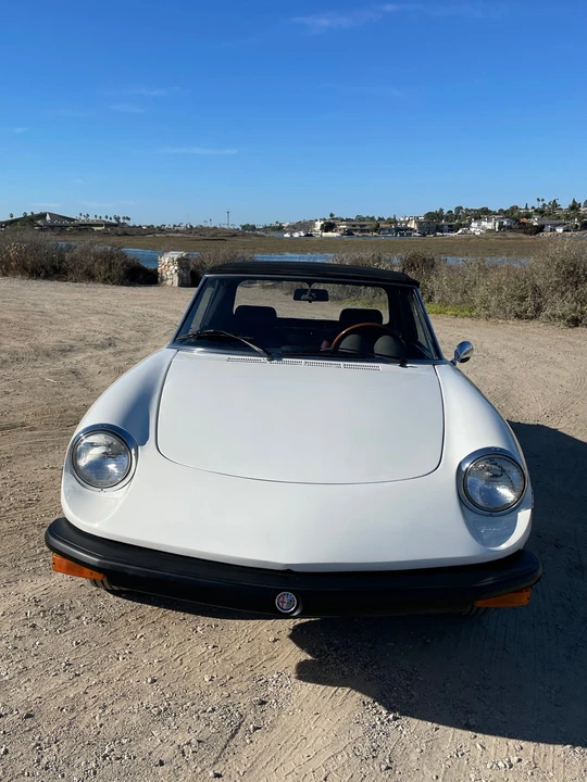 1978 Alfa Romeo Series 2 - Image 31 of 31