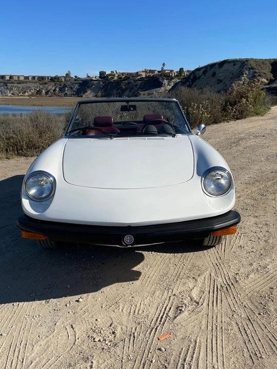 1978 Alfa Romeo Series 2 - Image 4 of 31