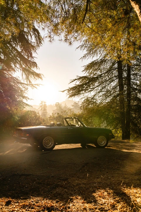 1978 Alfa Romeo Series 2 - Image 23 of 31