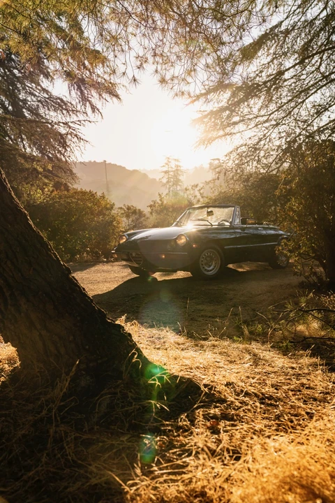 1978 Alfa Romeo Series 2 - Image 15 of 31