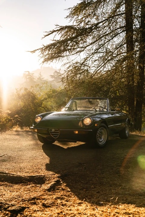 1978 Alfa Romeo Series 2 - Image 12 of 31