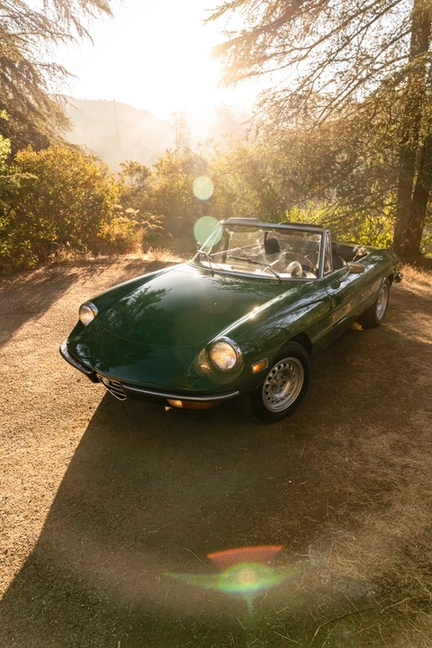 1978 Alfa Romeo Series 2 - Image 14 of 31