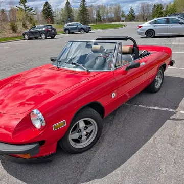 1978 Alfa Romeo Spider