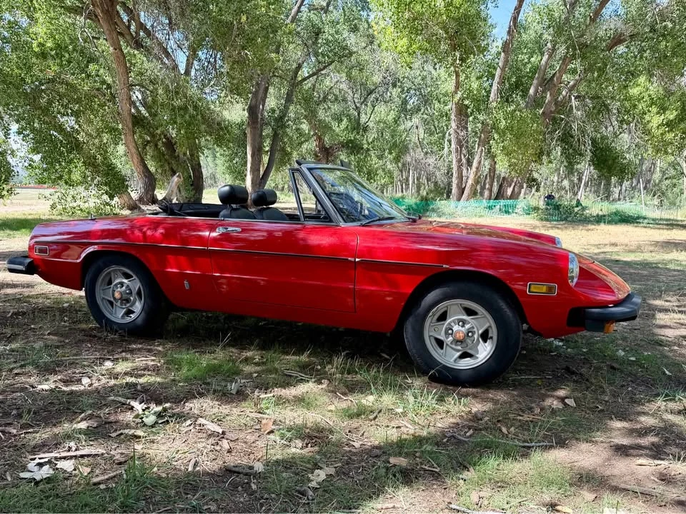 1978 Alfa Romeo Series 2 - Image 8 of 20