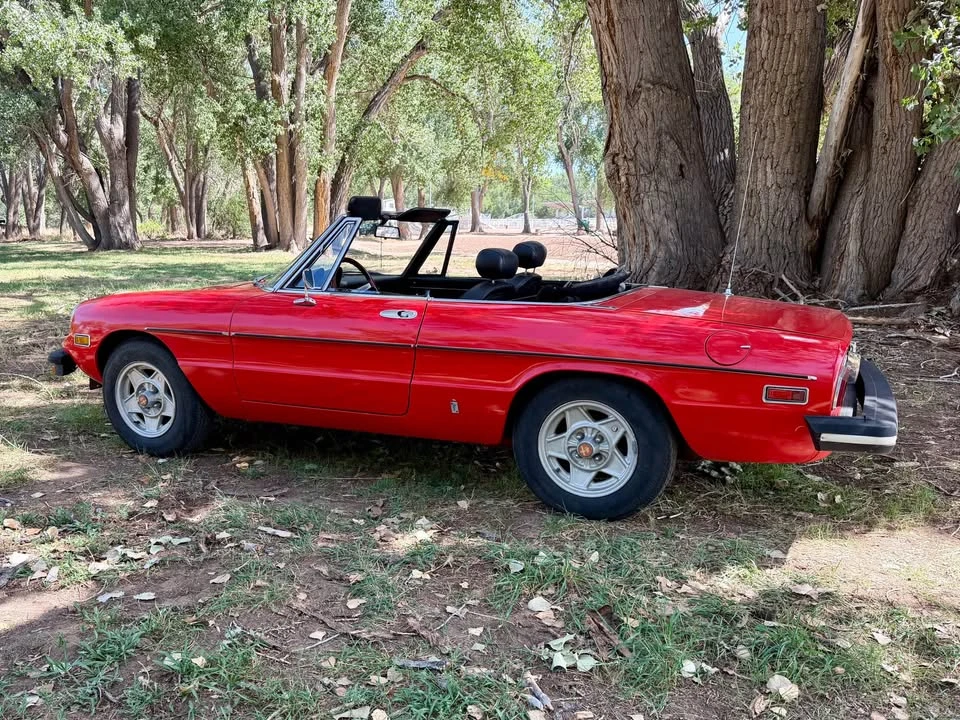 1978 Alfa Romeo Series 2 - Image 4 of 20
