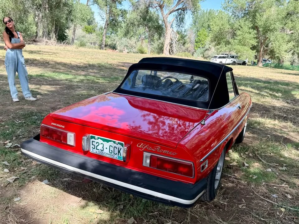1978 Alfa Romeo Series 2 - Image 5 of 20