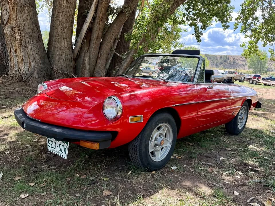 1978 Alfa Romeo Series 2 - Image 2 of 20