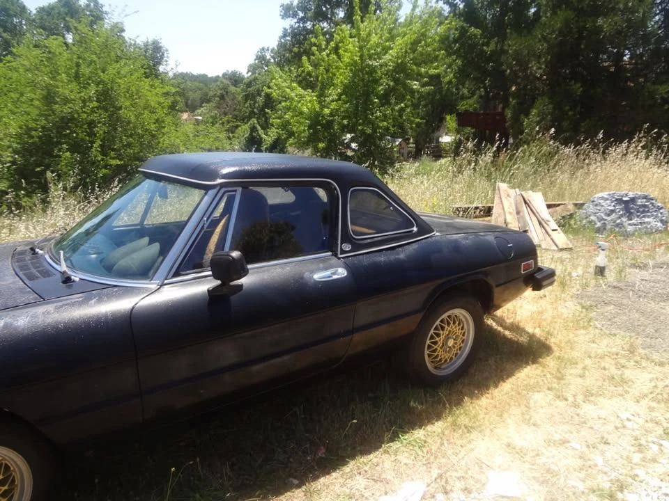 1978 Alfa Romeo 102-Series 2000 - Image 3 of 8