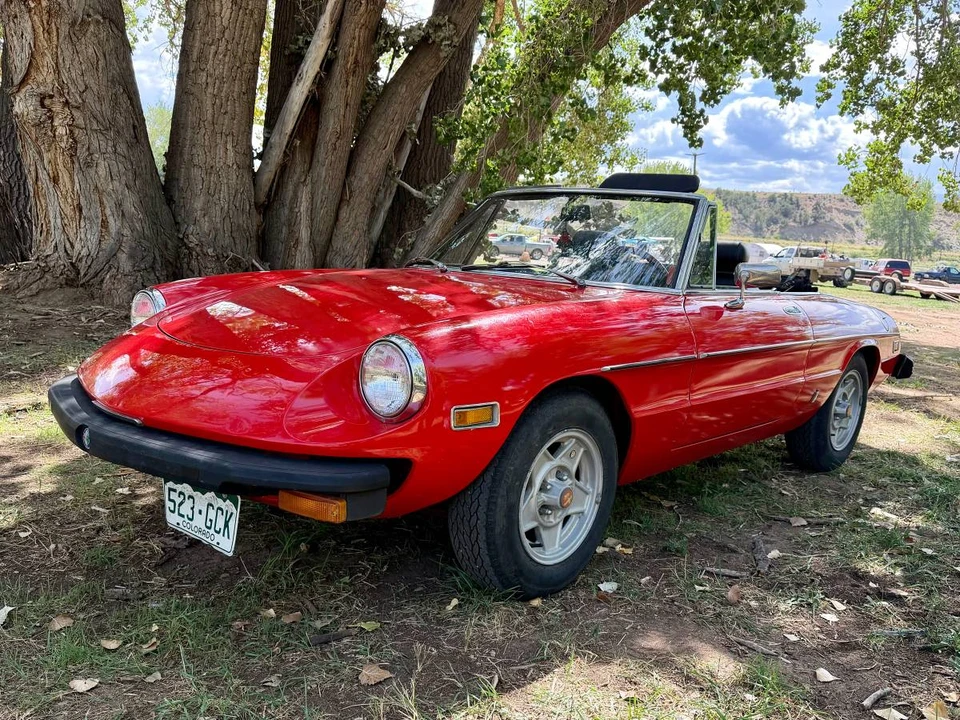 1978 Alfa Romeo Series 2 - Image 2 of 24
