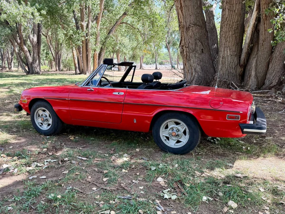 1978 Alfa Romeo Series 2 - Image 4 of 24