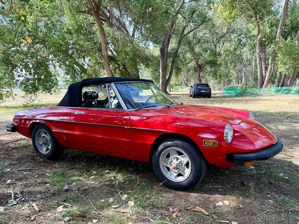 1978 Alfa Romeo Series 2 - Image 9 of 24