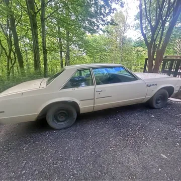 1978 Buick LeSabre