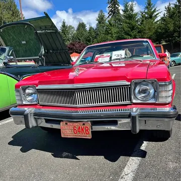 1978 Buick Skylark Coupe 2D