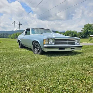 1978 Buick Skylark Coupe 2D