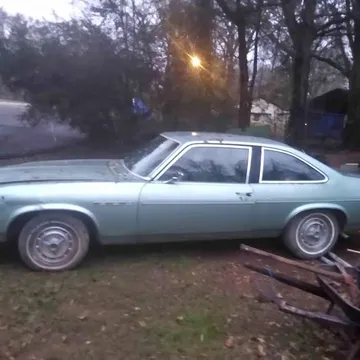 1978 Buick Skylark · Coupe 2D