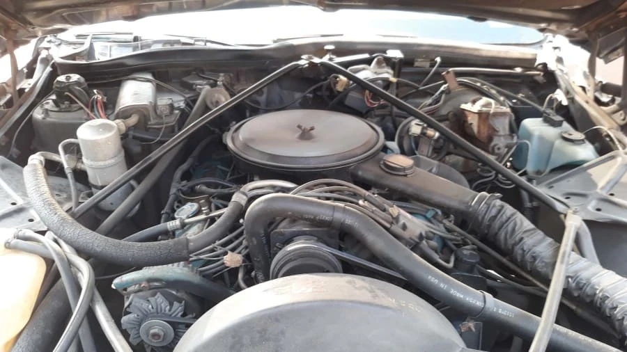 1978 Cadillac DeVille 5th Gen - Image 3 of 10