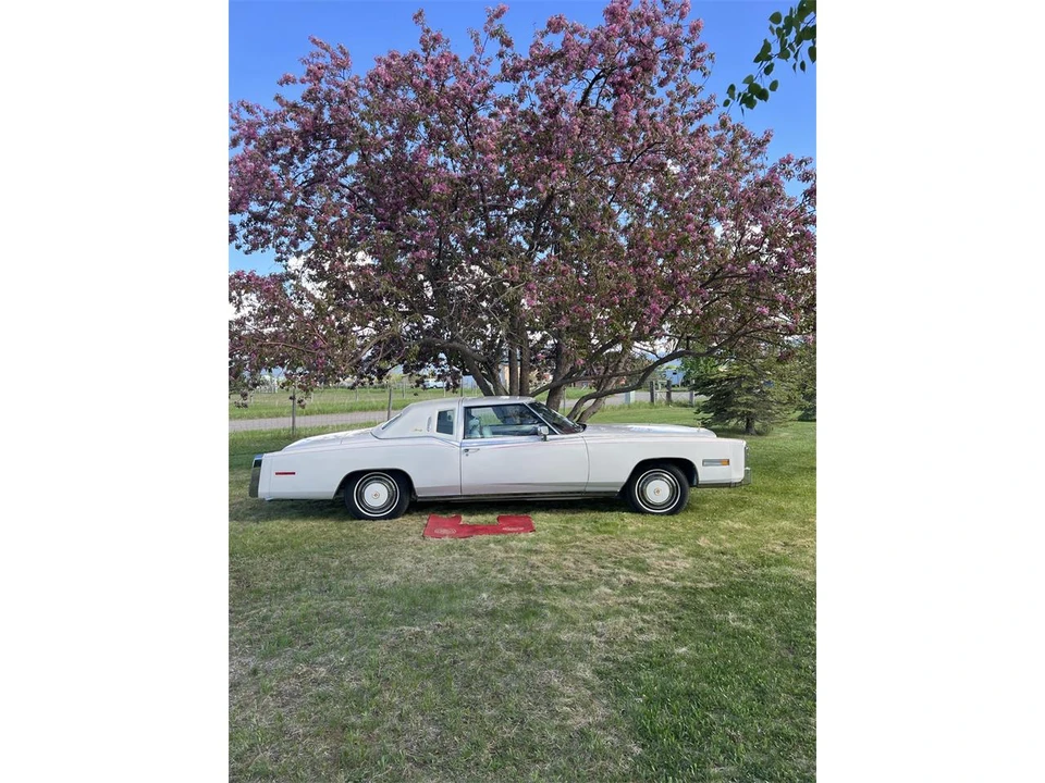 1978 Cadillac Eldorado 9th Gen - Image 2 of 14