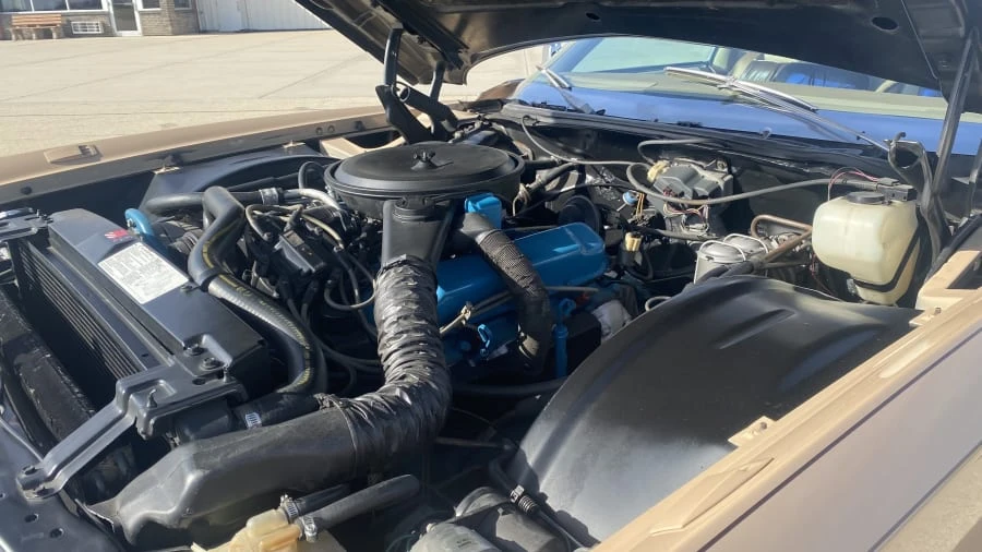 1978 Cadillac Eldorado 9th Gen - Image 31 of 31