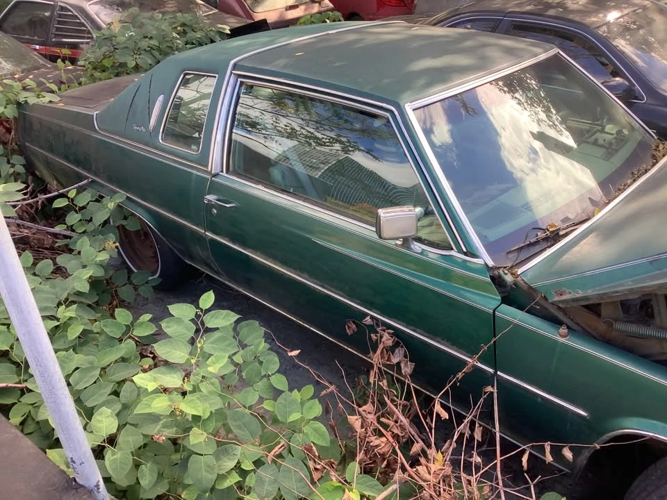 1978 Cadillac DeVille 5th Gen - Image 2 of 12