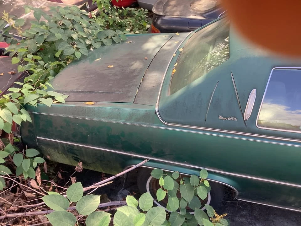 1978 Cadillac DeVille 5th Gen - Image 3 of 12