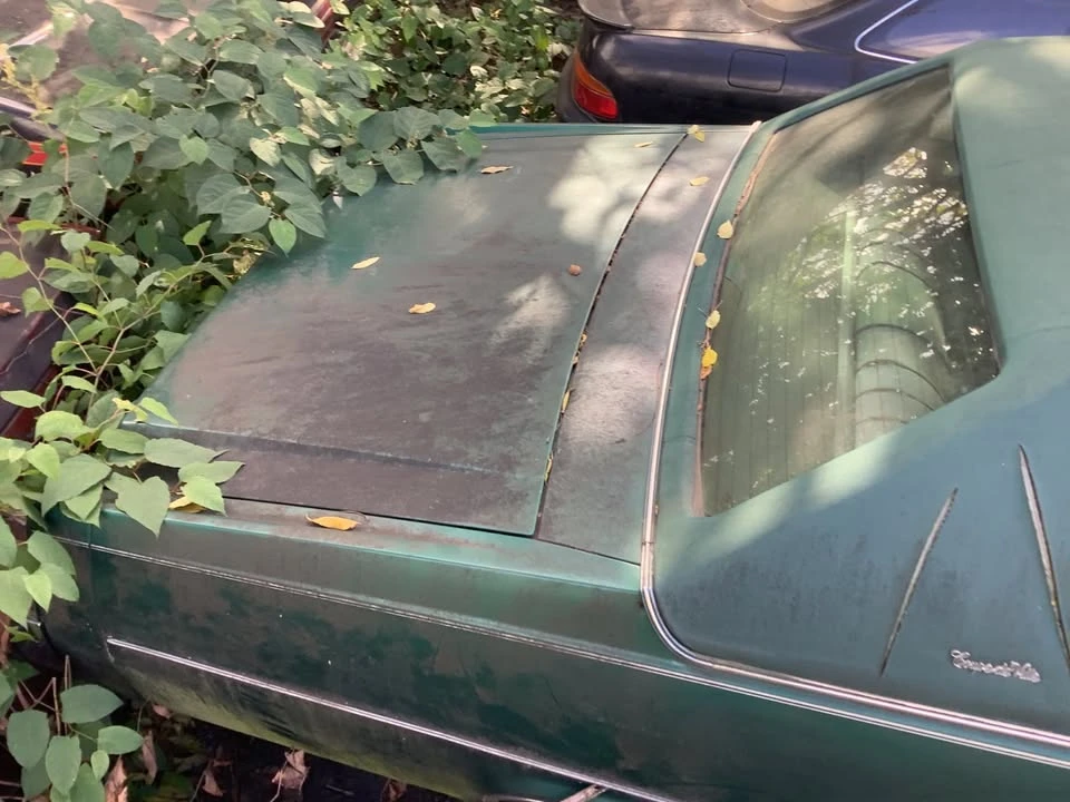 1978 Cadillac DeVille 5th Gen - Image 6 of 12