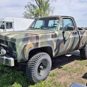 1978 Chevrolet 1500 Regular Cab Short Bed