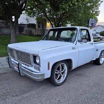1978 Chevrolet 1500 Regular Cab Short Bed