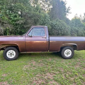 1978 Chevrolet 1500 Regular Cab Short Bed