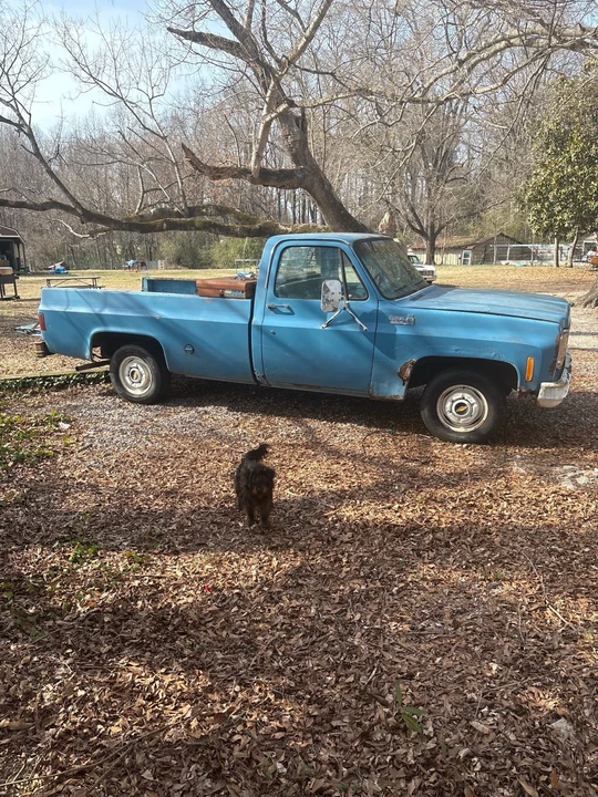 1978 Chevrolet C/K 3rd Gen - Image 4 of 8