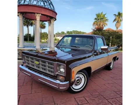 1978 Chevrolet C10 Bonanza