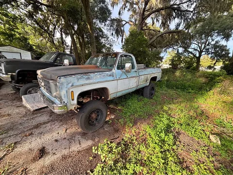 1978 Chevrolet C10