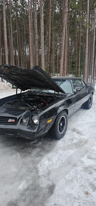 1978 Chevrolet Camaro 2nd Gen - Image 9 of 20