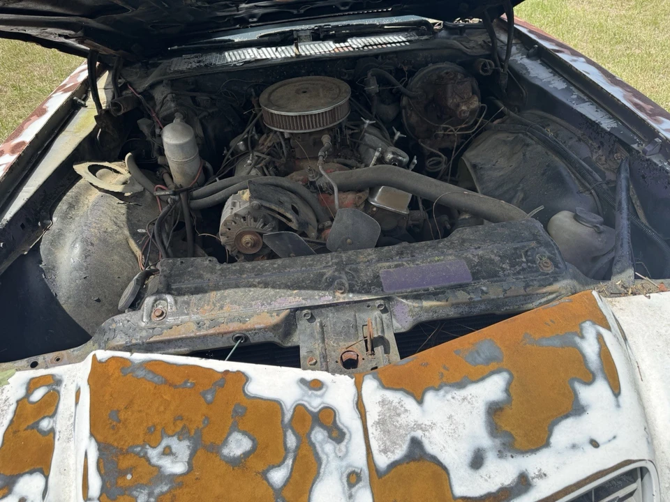 1978 Chevrolet Camaro 2nd Gen - Image 14 of 14