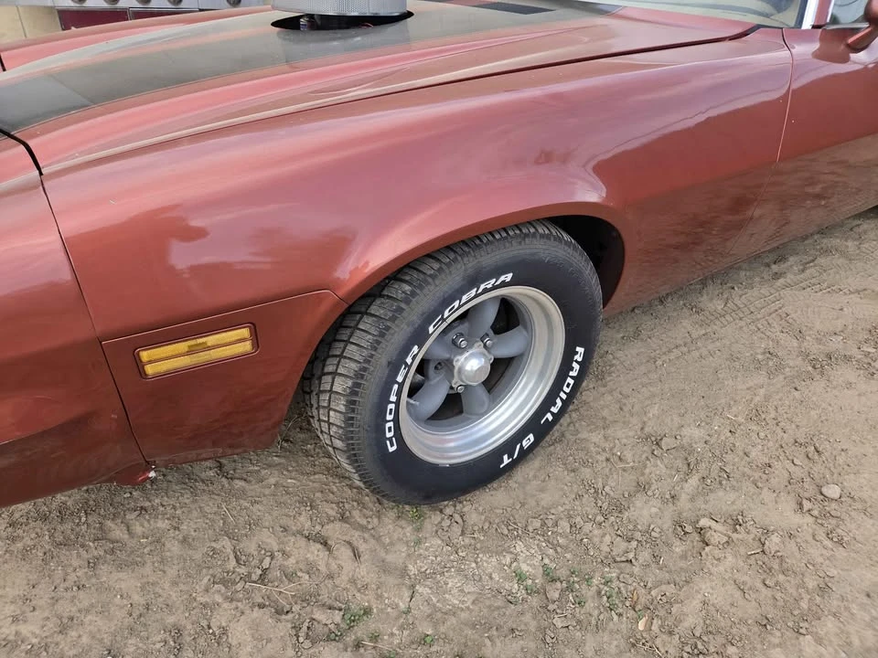 1978 Chevrolet Camaro 2nd Gen - Image 19 of 20