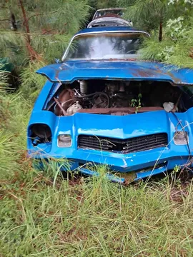 1978 Chevrolet Camaro LS Convertible 2D