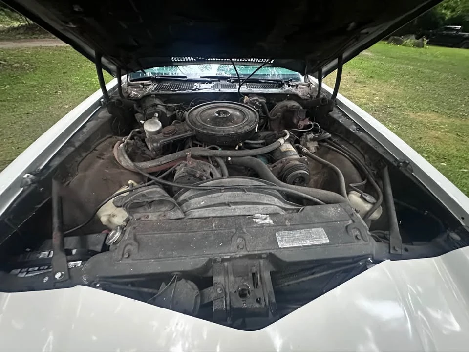 1978 Chevrolet Camaro 2nd Gen - Image 7 of 19