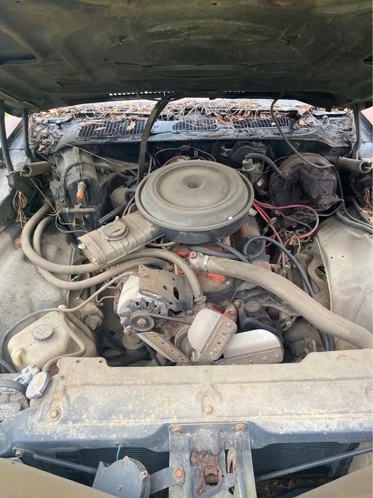 1978 Chevrolet Camaro 2nd Gen - Image 11 of 12