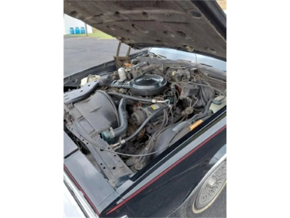 1978 Chevrolet Caprice - Image 22 of 31