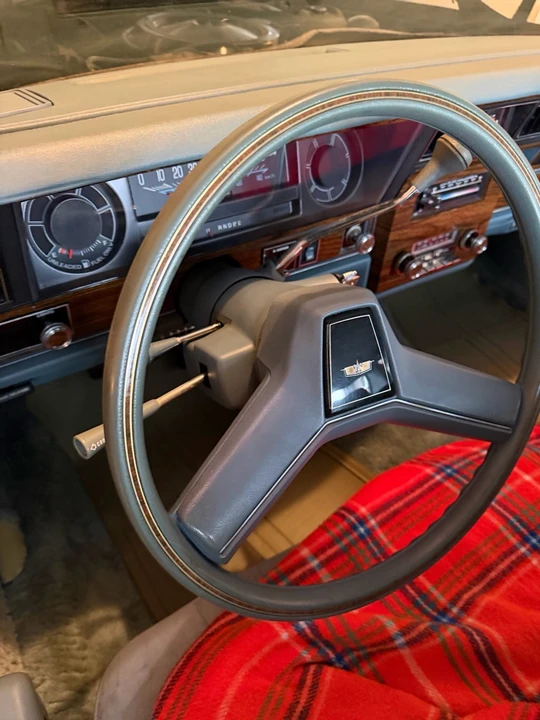 1978 Chevrolet Caprice - Image 15 of 21
