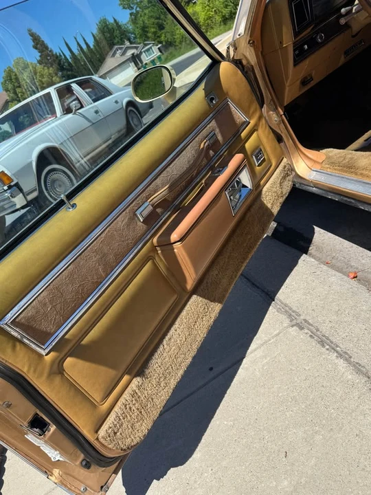 1978 Chevrolet Caprice - Image 7 of 7