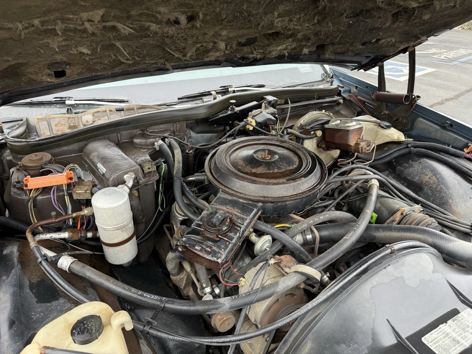 1978 Chevrolet Caprice - Image 9 of 13
