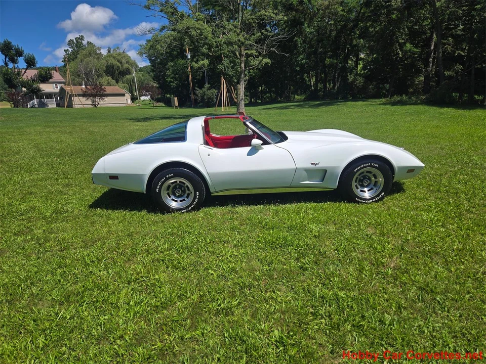 1978 Chevrolet Corvette C3 - Image 10 of 31