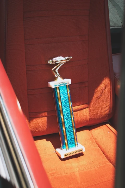 1978 Chevrolet Corvette C3 - Image 11 of 14