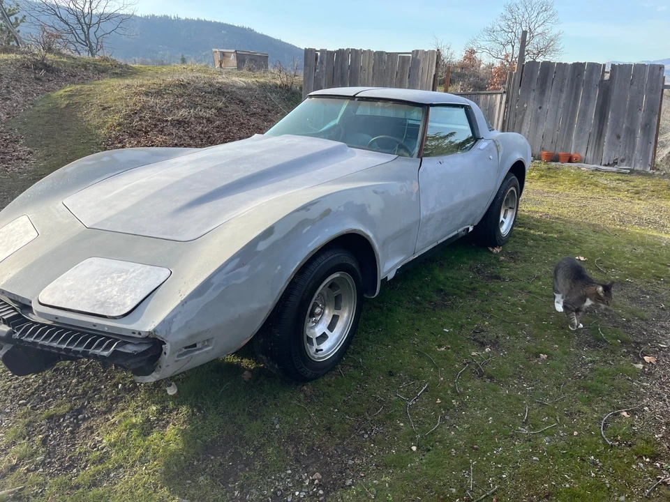 1978 Chevrolet Corvette C3 - Image 3 of 20